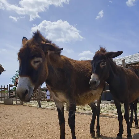 默主歌耶赫尔采民族村酒店 度假村