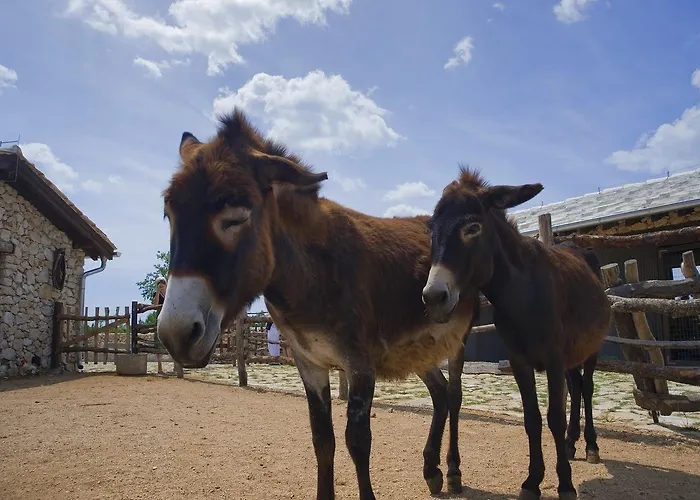 Herceg Etno Selo Resort